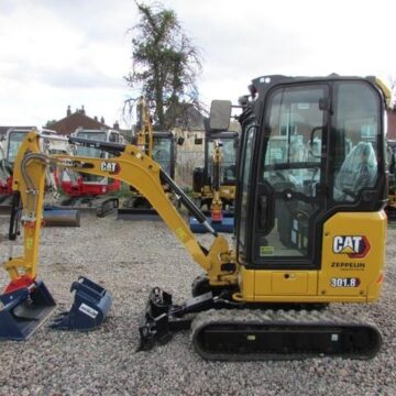 2010 Cat 301.8C