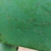 2010 John Deere 4755 Tractor